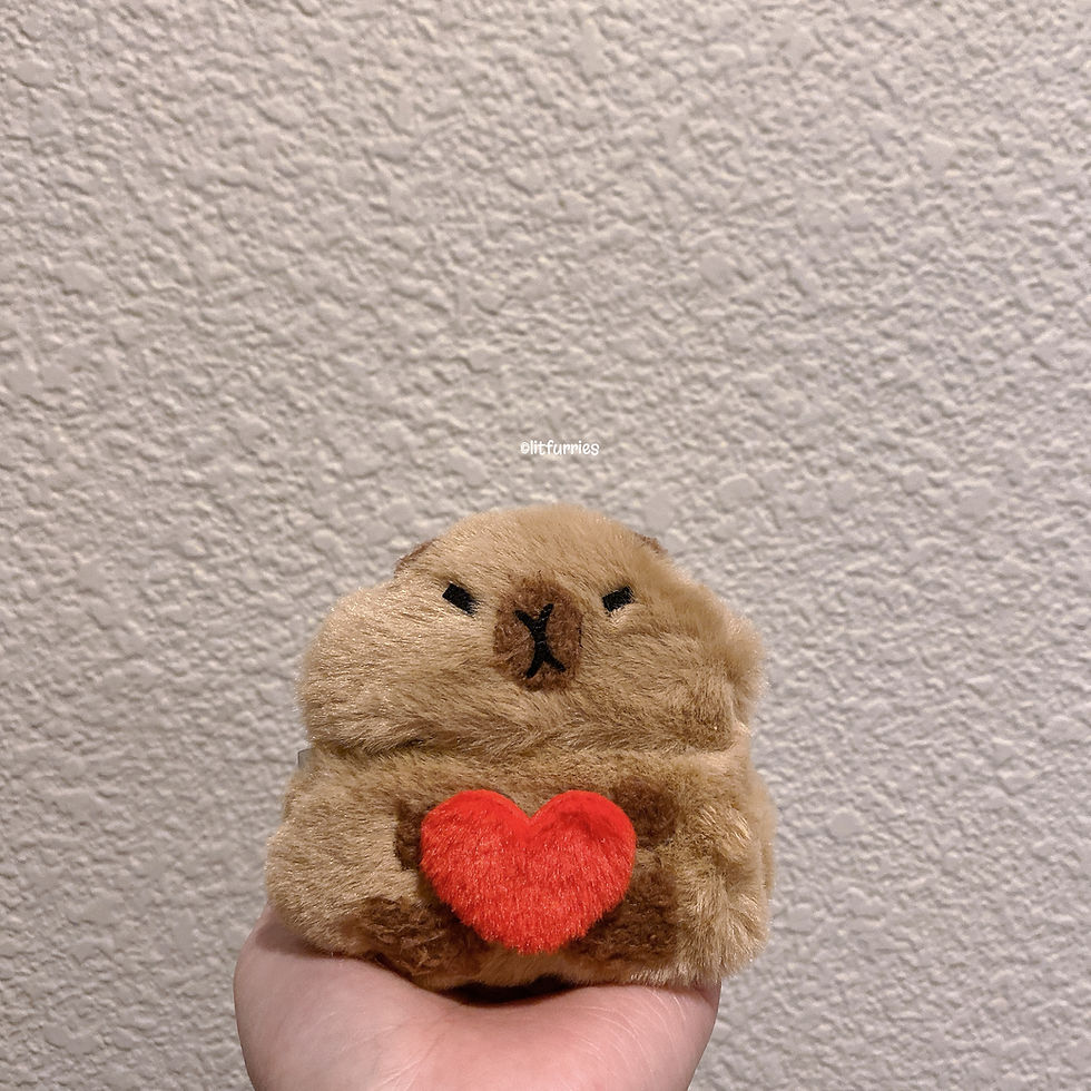 Thumbnail: SWEETHEART CAPYBARA Earphone Case