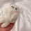 Thumbnail: SEAL PUP Pocket Pet