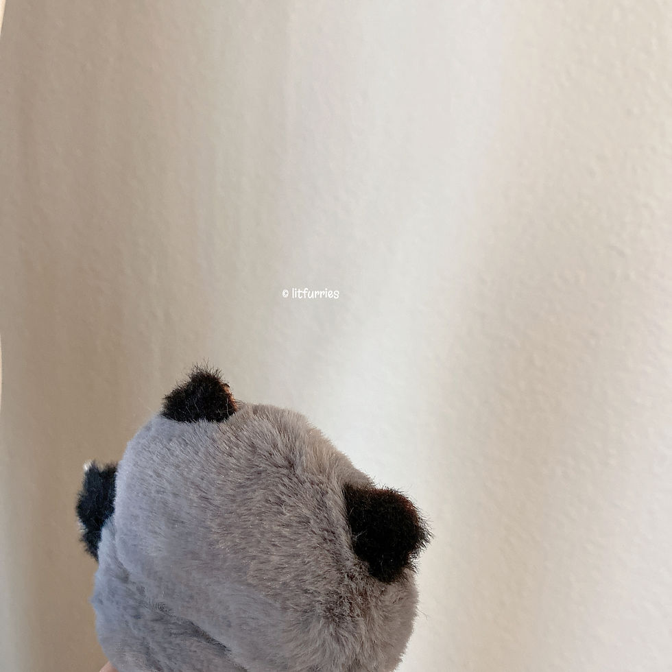 Thumbnail: OPOSSUM AIRPODS CASE COVER