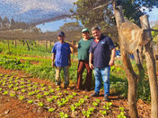 Introdução de Alimentos Orgânicos