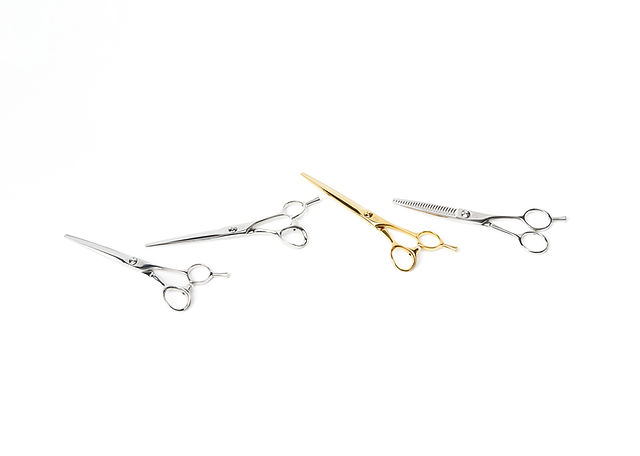 STEP BONE CUT シザー SCISSORS | stepbonecut-global