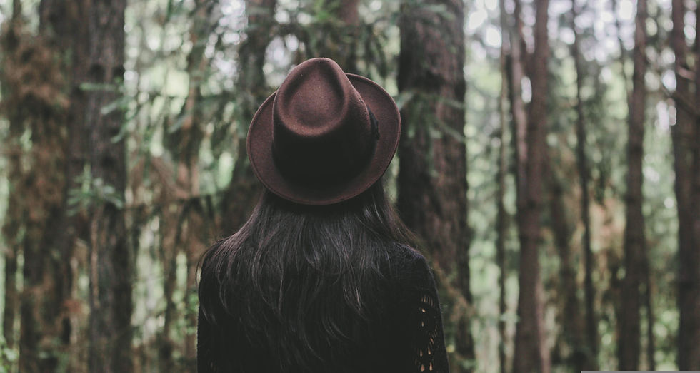 pexels-forest-1834831.jpg