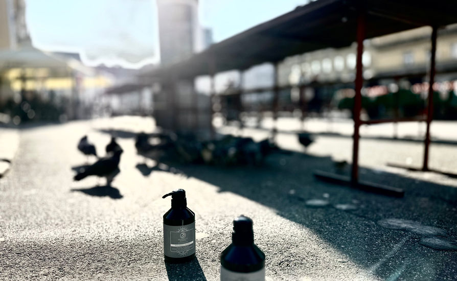 with pigeons5.jpeg