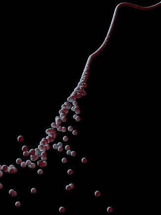 tsd-studio-uyzcNF5Ovco-unsplash.jpg