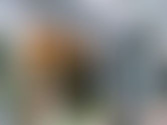 【ディレクター堤好司】STEP BONE CUT TOKYOオープン御礼と今後の展望