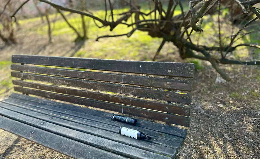 the park3.jpeg