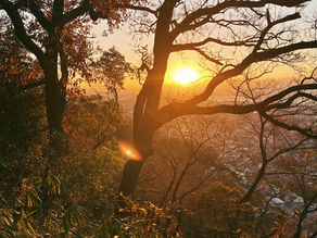 【Akane】2021年1月シフト