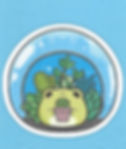 Kid Class: #67 - Frog In A Terrarium