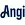 Angi-logo-for-website