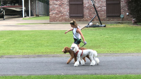 IMG_0255.jpeg