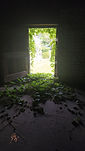 photo porte lierre site.jpg