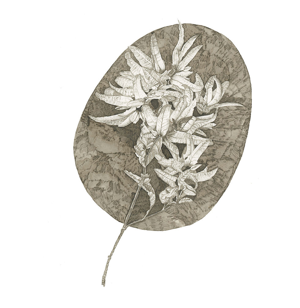 a pen and ink drawing of dotwork leaves by Nicola Howell Hawley of Howell Illustration