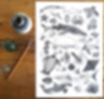 Line and dotwork black and white poster of various sea creatures resting on table with ink parephernalia