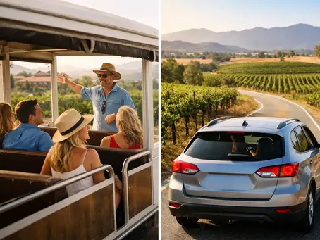 Guided Tours Versus Driving Through Temecula