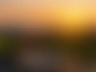 Top Temecula Wineries for Sunsets and Sips