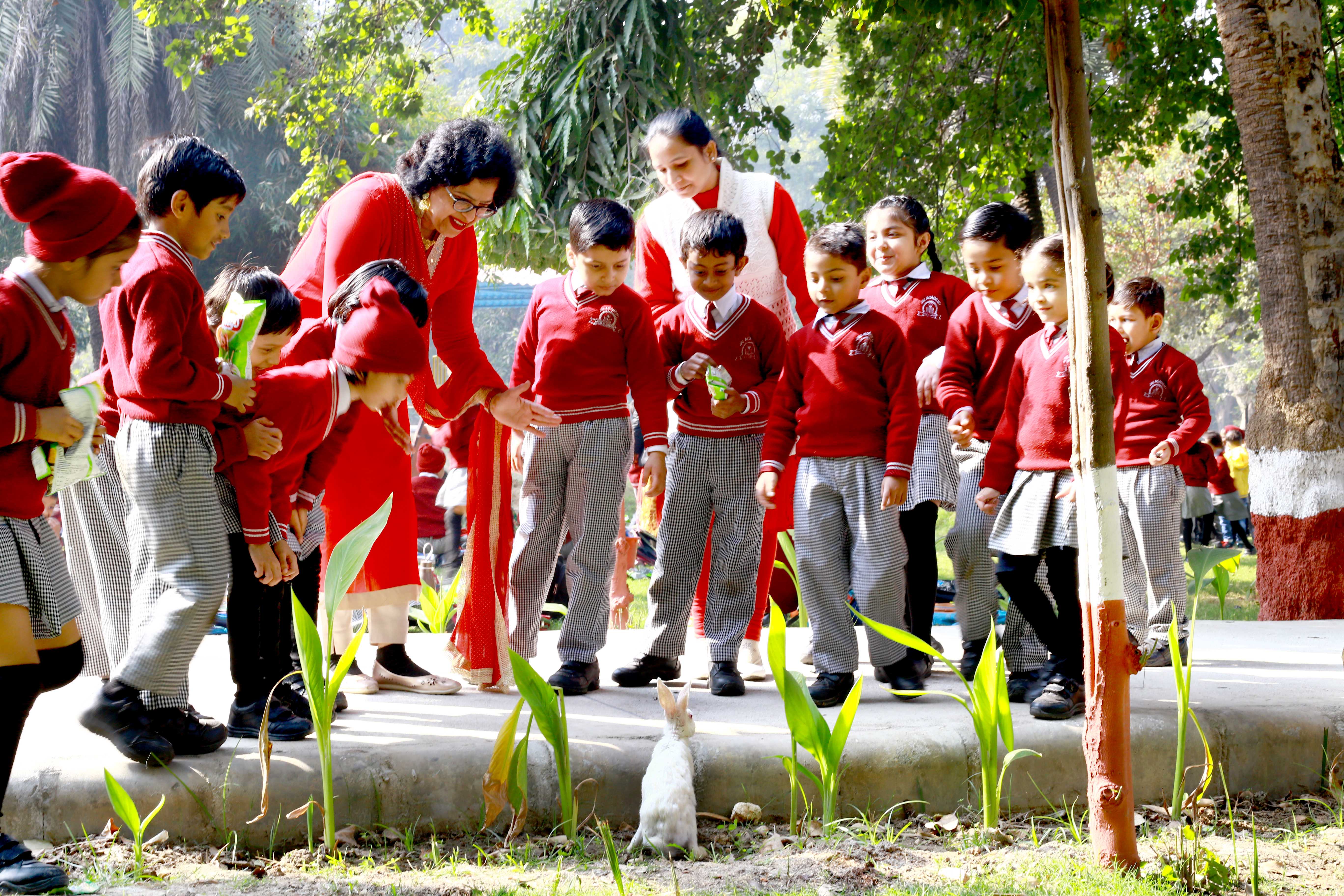 Activities Plantation
