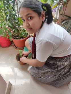WhatsApp Image 2021-06-05 at 8.47.56 PM_1