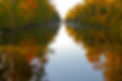 Dismal Swamp Canal- Camden TDA.jpg