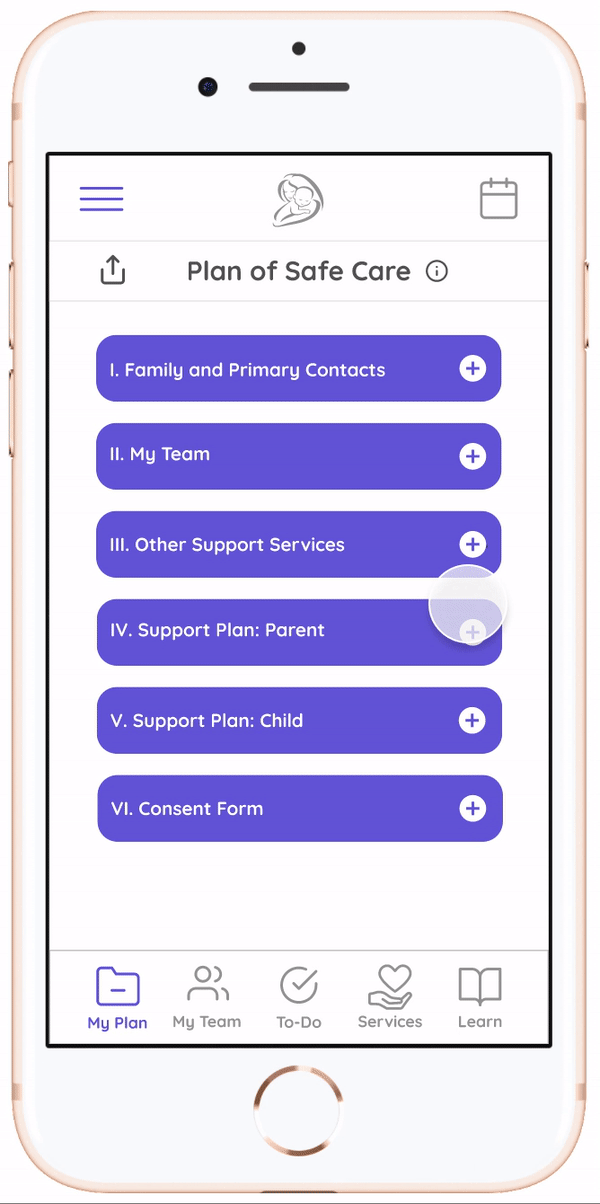 plan of safe care portfolio gif.gif