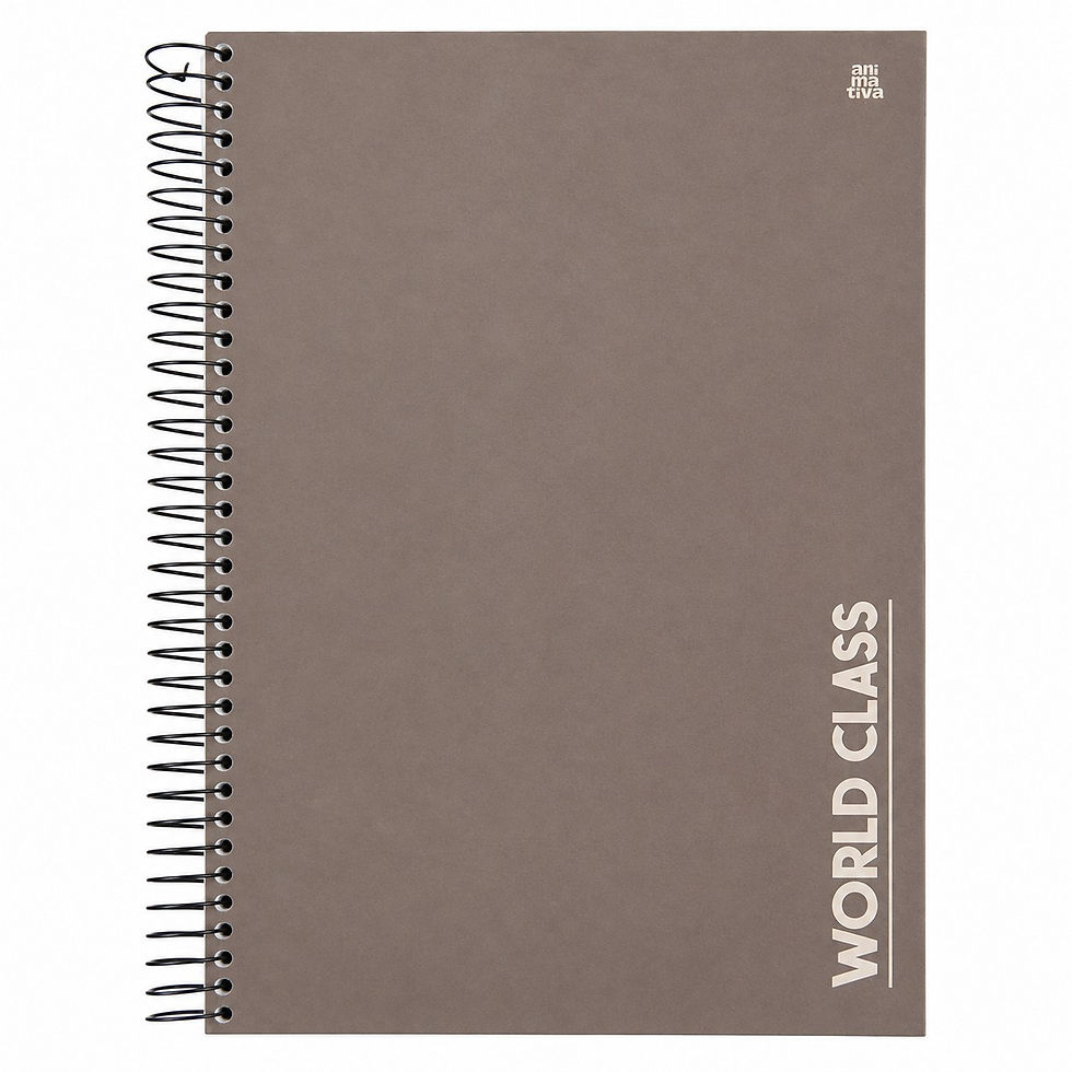 Caderno Universitário World Class 10 Matérias 160 Folhas – 200x275 mm – imagem 2