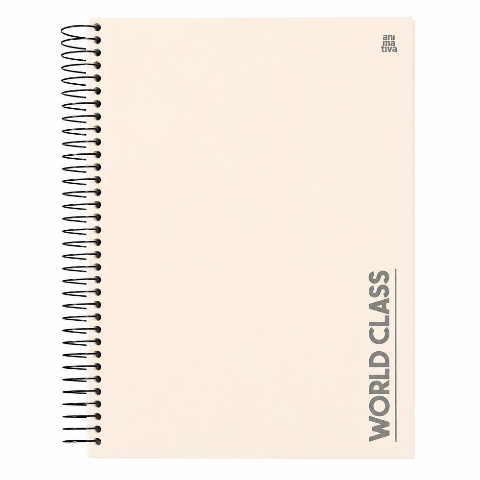 Caderno Universitário World Class Animativa 20 Matérias 320 Folhas 20 × 27,5 cm