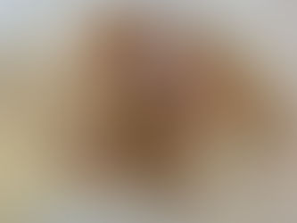 Puppy Activity Level: An Evidence-Based Guide to Puppy Exercise, Growth Plates, and Developmental Safety