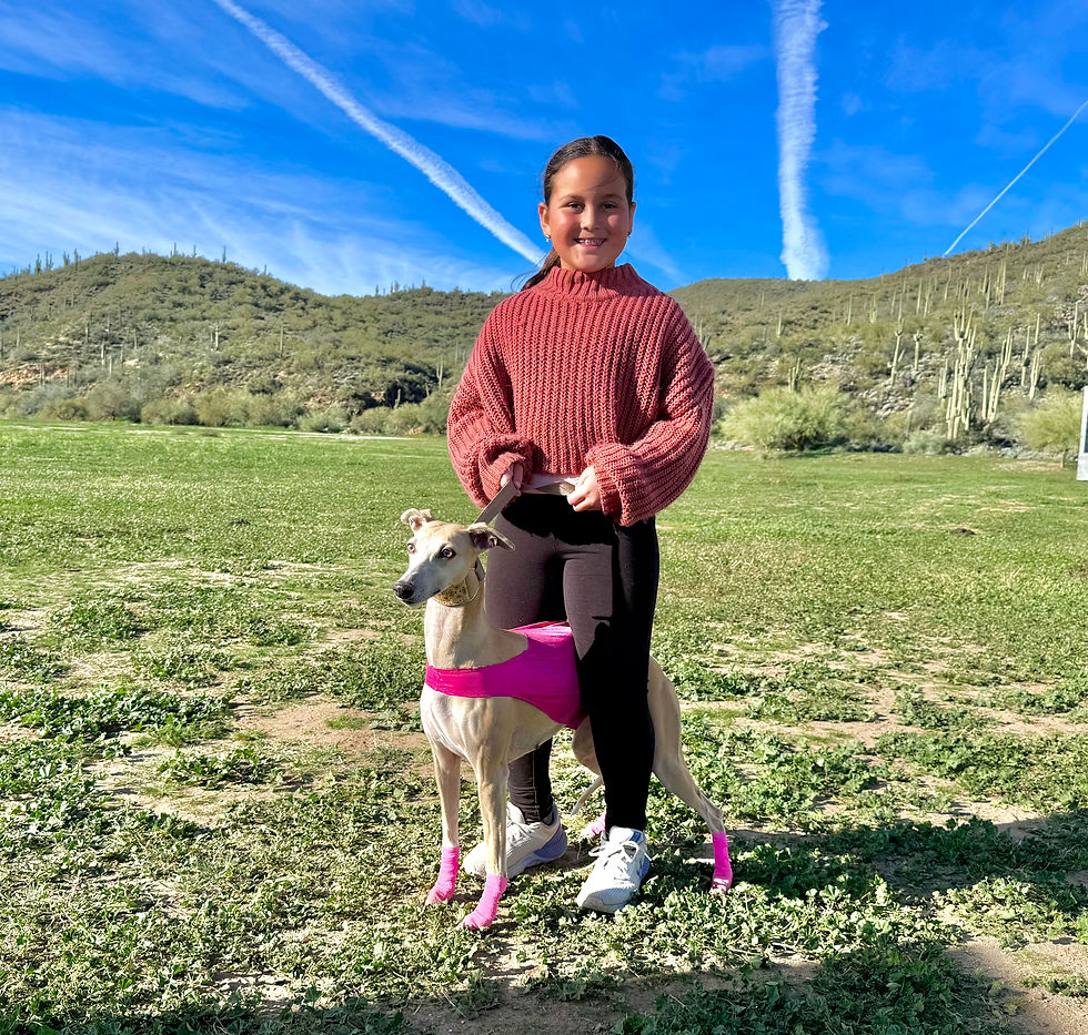 A girl and her whippet 
