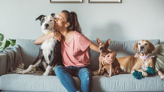 Are you a homeowner with pets and planning to sell your property?