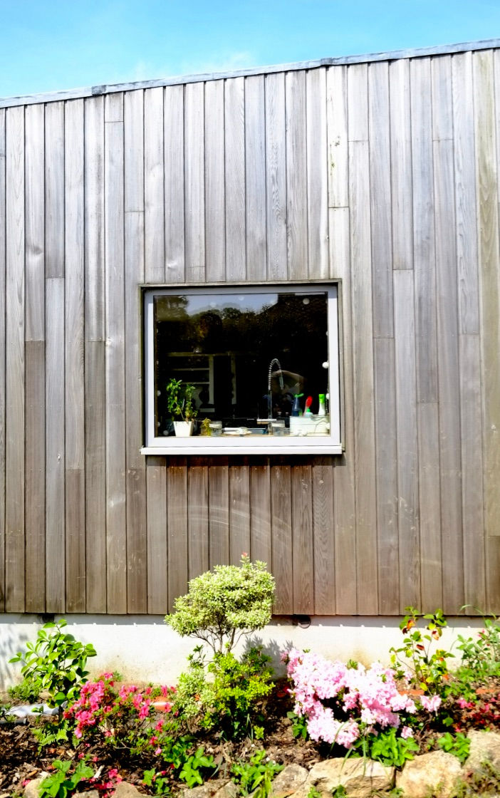 Kitchen window