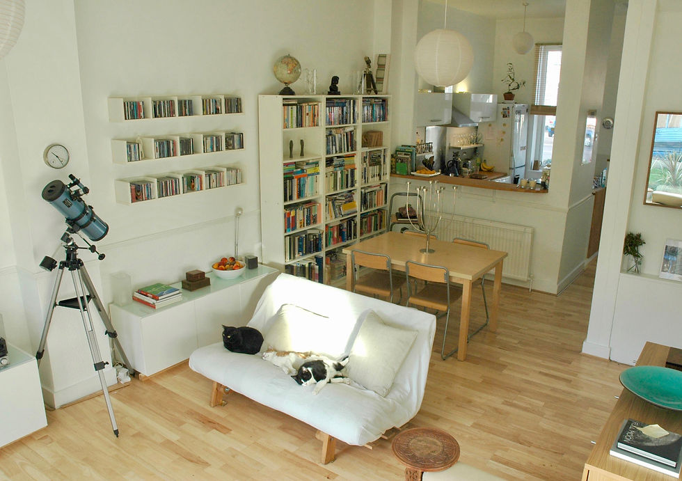 View of living/dining area