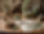 inject-blog-service_1742767055475.png