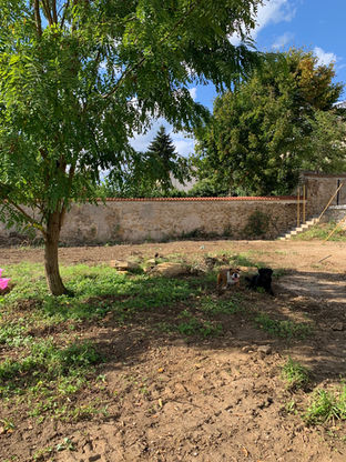 Pension canine Nancy Bouxières-aux-Dames