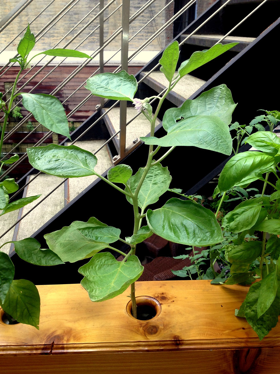 Thumbnail: Hydroponic Railing
