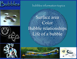 Bubble Exhibit