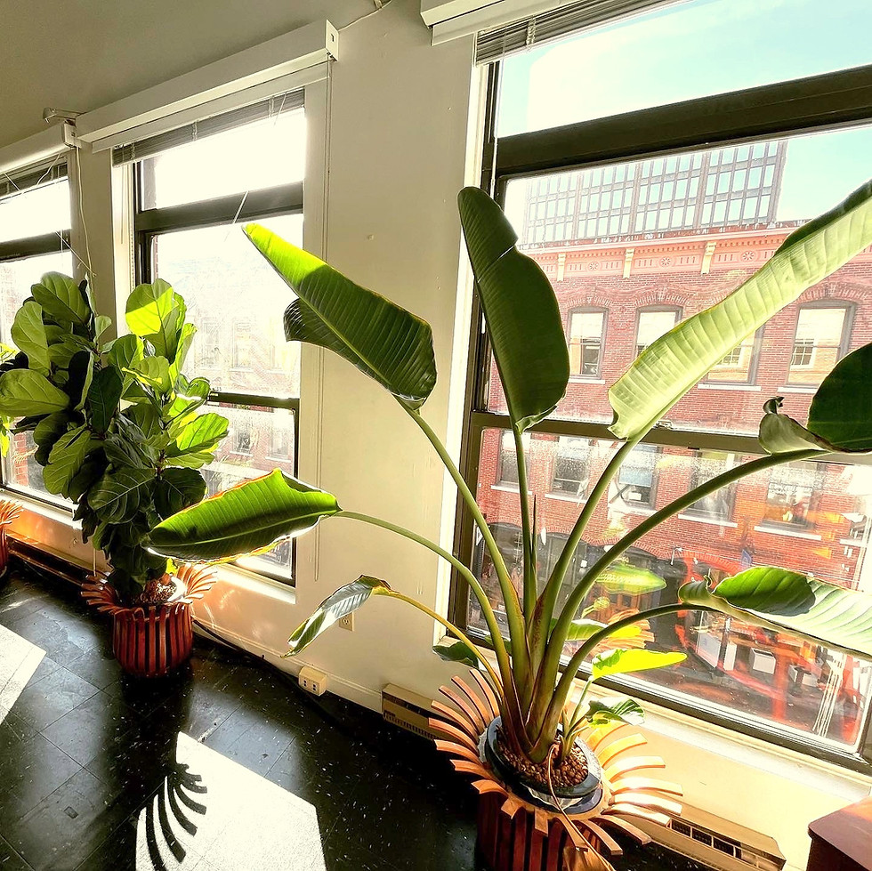 Thumbnail: Hydro-bucket planter