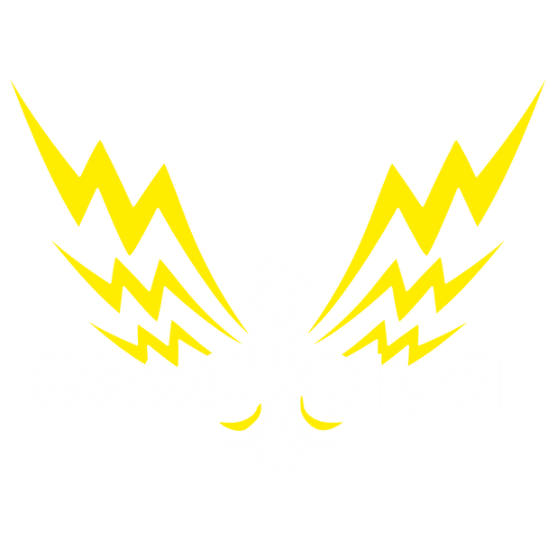 Logo_essociaal_Wit_L.png