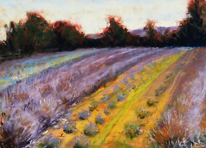 Ria Hyer Lavender Farm