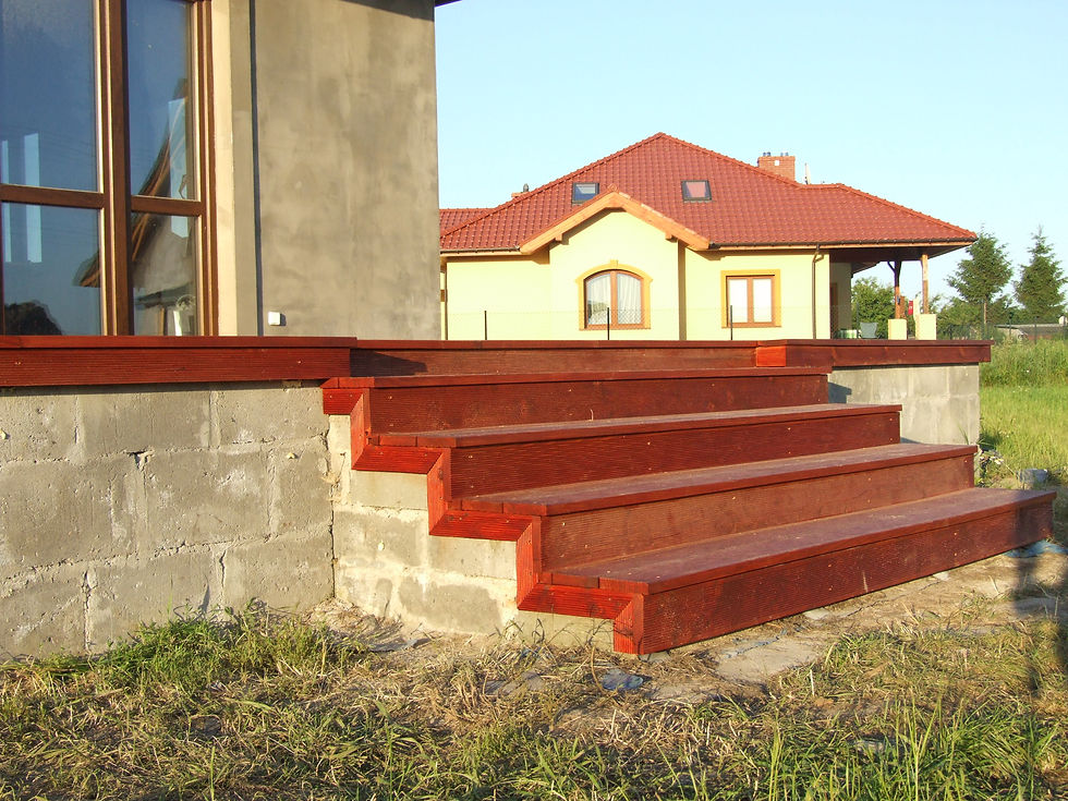 taras (4).jpg