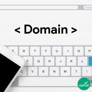 Defining Domains & Web Hosting