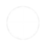 Disuco White Logo