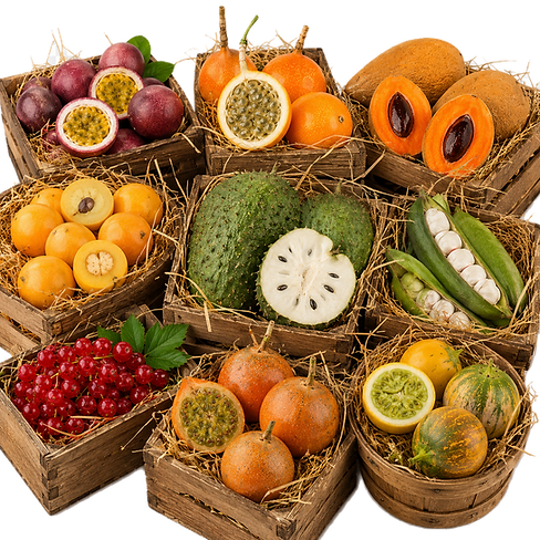 FRUTAS MIXTAS LA CRUCEÑA V3.png