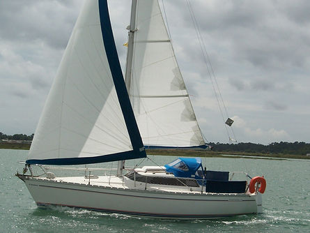 Arlequin II