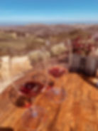 Travel guide to Paso Robles, CA. Wine tasting at DAOU Family Estates.