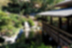 Japanese Friendship Garden - budget friendly activity in San Diego