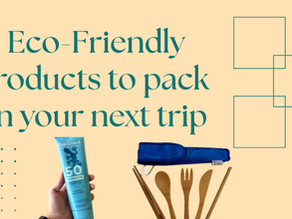 13 eco-friendly travel products to pack on your next trip 