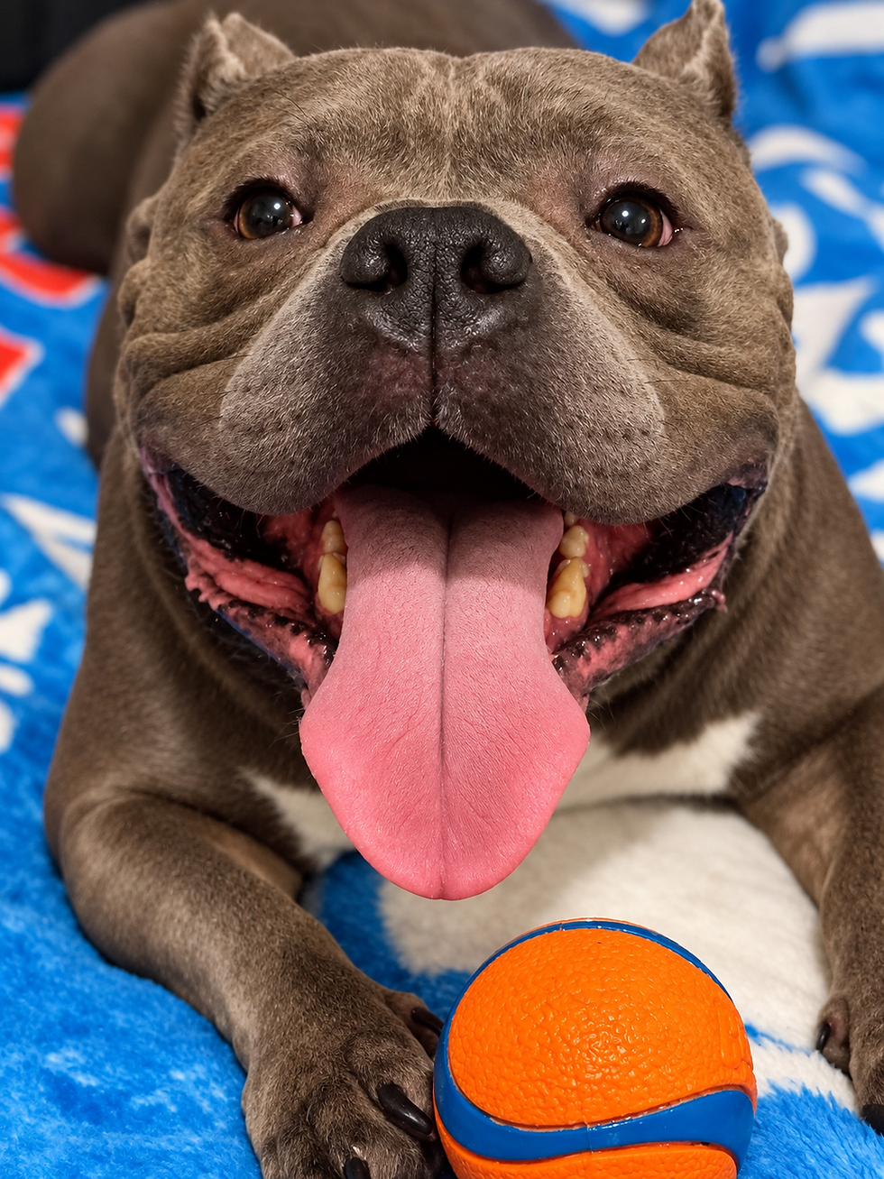 playful pacino