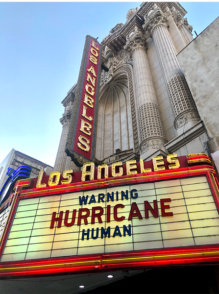 Eco-Haikus for Marquees (2019)