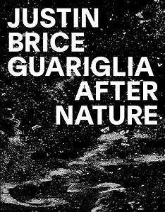 justinguariglia_cover.jpg