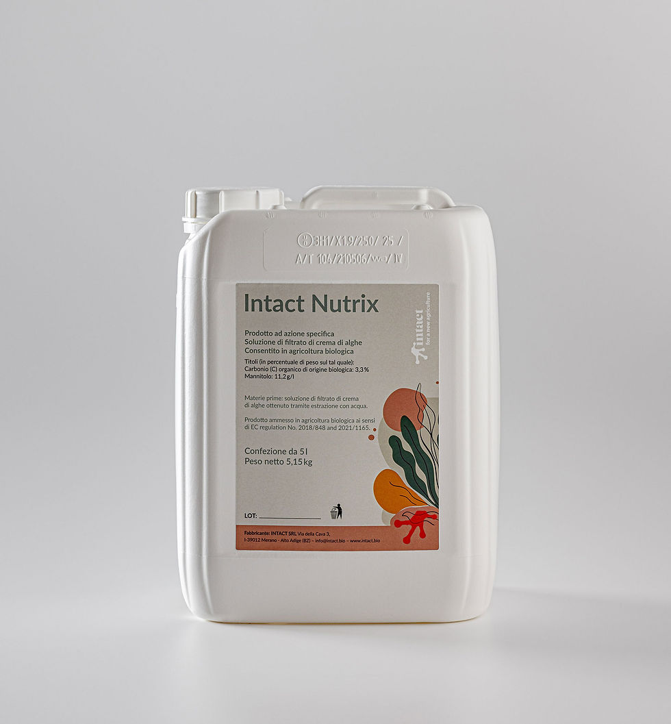 intact-WEB-8-(002).jpg