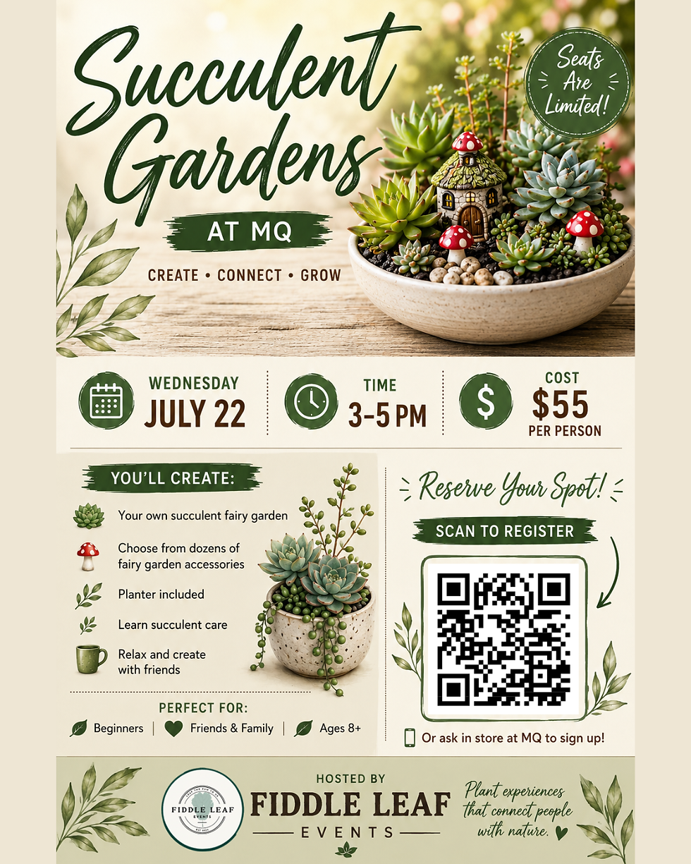 Succulent Gardens at MQ